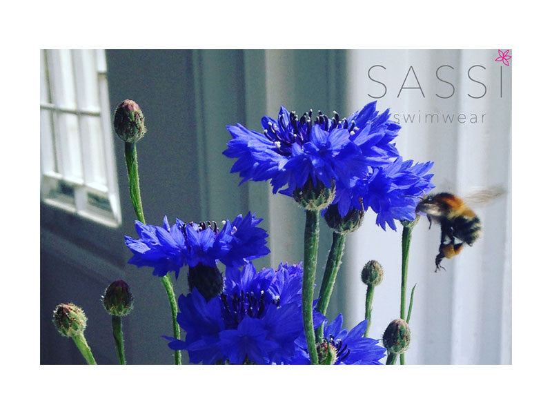 Sassi's Wildflowers
